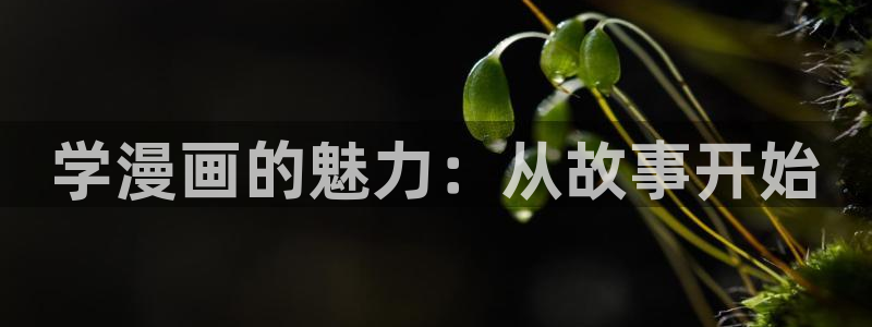 香蕉免费漫画页面：学漫画的魅力：从故事开始