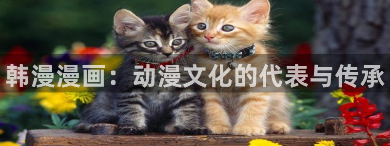 香蕉漫画网站入口永久原