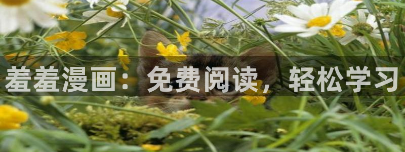 香蕉漫画免费观看入口