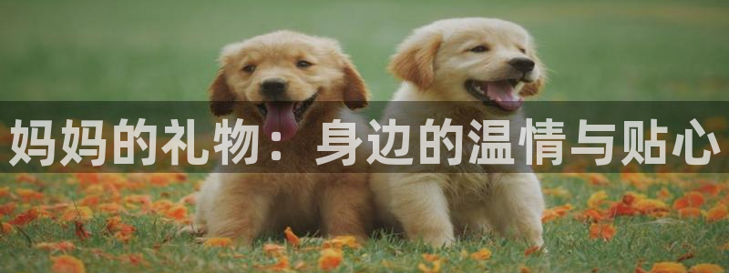 ,香蕉漫画