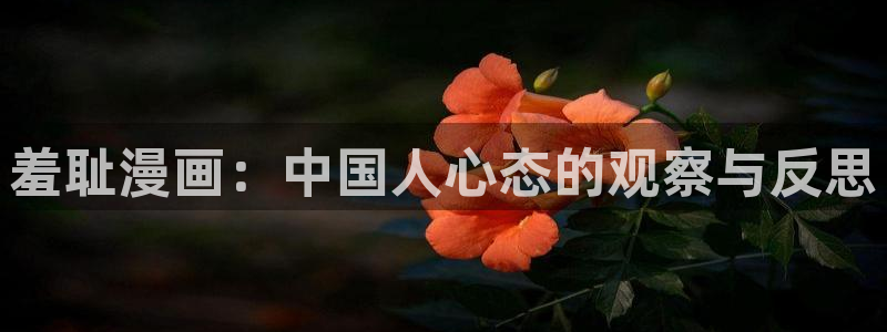 香蕉漫画免费在线阅读