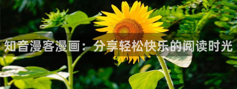 香蕉鱼漫画：知音漫客漫画：分享轻松快乐的阅读时光